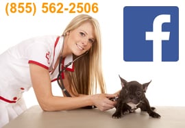 Facebook Advertising Service