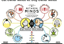 Cat Person Vs. Dog Person