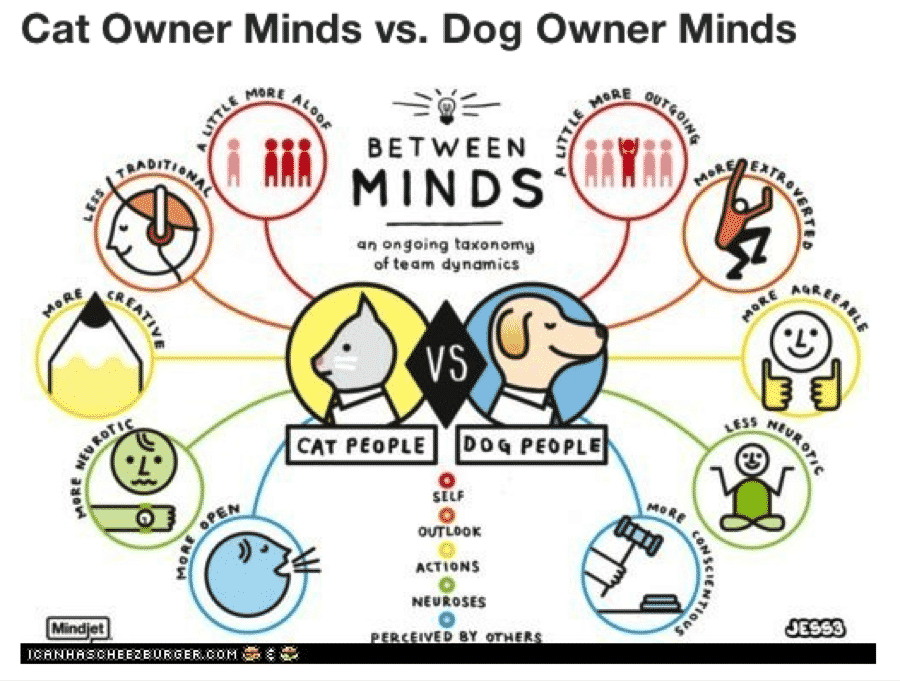 Cat Person Vs. Dog Person