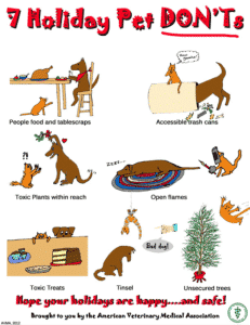 Read more about the article Holiday Season recommendations from the AVMA