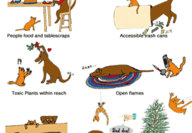 Holiday Season recommendations from the AVMA