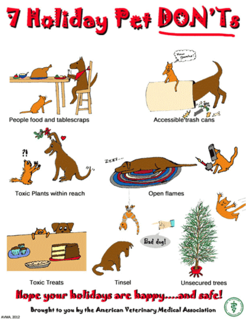 Read more about the article Holiday Season recommendations from the AVMA
