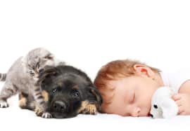 Pets and the developmental benefits for children