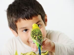 Read more about the article National Bird Day