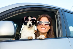 Read more about the article 11 Things You Can Do to Make Travel Safer for You and Your Pet