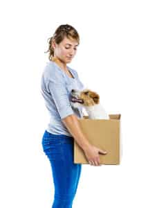 Read more about the article Moving with pets