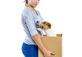 Moving with pets