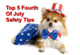 Top 5 Fourth of July Pet Safety Tips