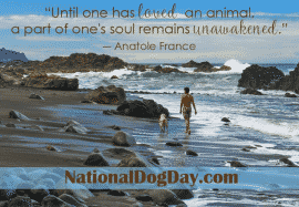 Today is National Dog Day