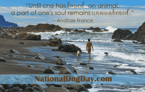 Read more about the article Today is National Dog Day
