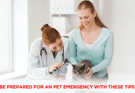 Be Prepared For An Pet Emergency With These Tips