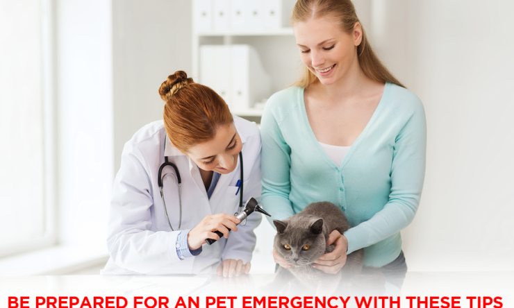 Be Prepared For An Pet Emergency With These Tips