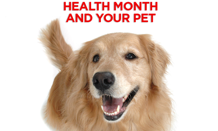 National Pet Dental Health Month and Your Pet