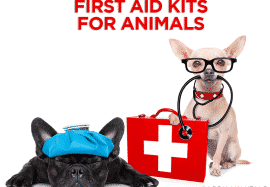 First Aid Kits For Animals