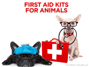 Read more about the article First Aid Kits For Animals