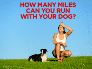 Read more about the article How Many Miles Can You Run With Your Dog?