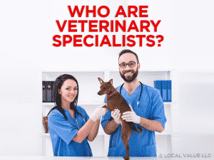 Read more about the article Who Are Veterinary Specialists?
