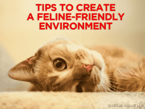 Read more about the article Tips to Create a Feline-Friendly Environment