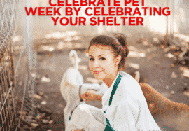 Celebrate Pet Week By Celebrating Your Shelter