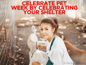 Read more about the article Celebrate Pet Week By Celebrating Your Shelter