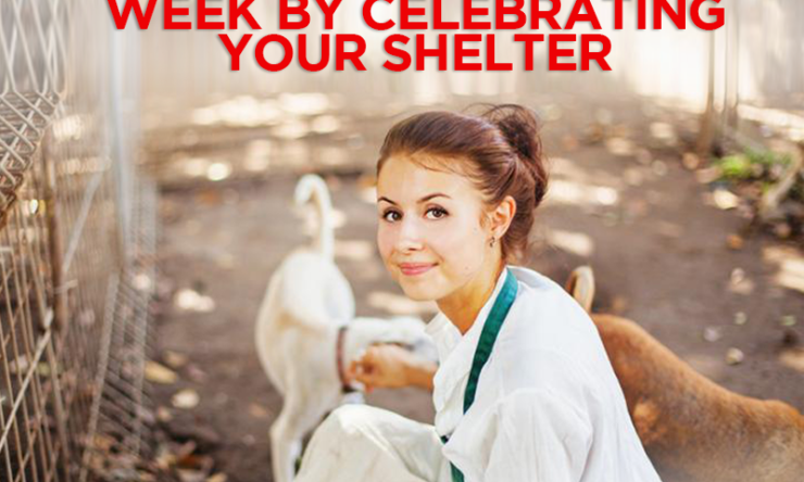 Celebrate Pet Week By Celebrating Your Shelter