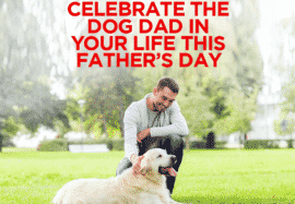 Celebrate the Dog Dad in Your Life this Father’s Day