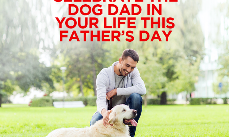 Celebrate the Dog Dad in Your Life this Father’s Day