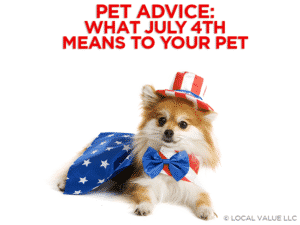 Read more about the article Pet Advice: What July 4th Means To Your Pet