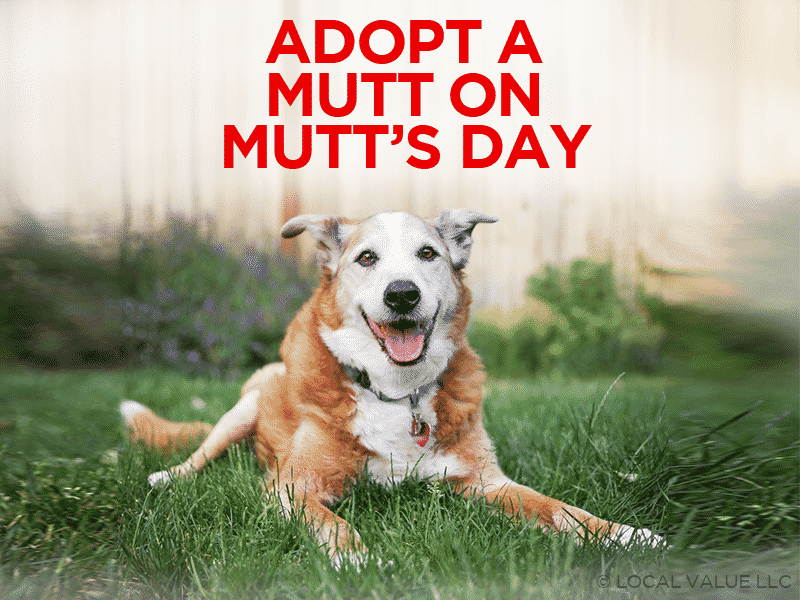 Adopt a Mutt on Mutt's Day - Local 