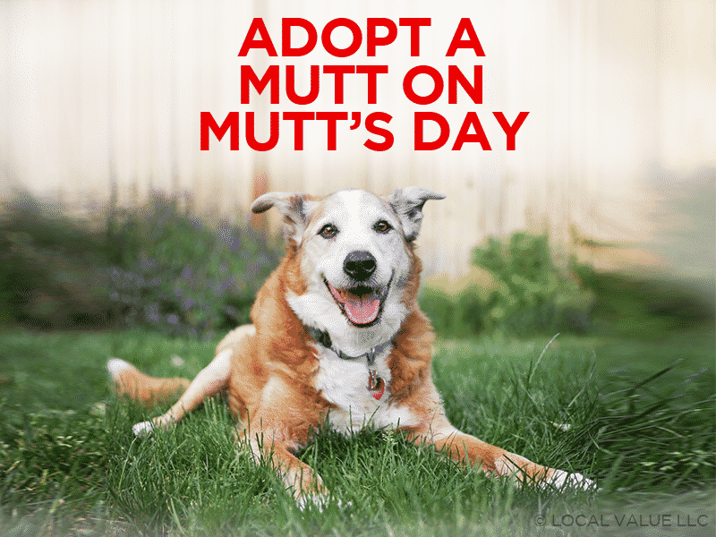 Read more about the article Adopt a Mutt on Mutt’s Day!