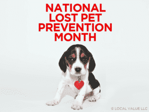 Read more about the article National Lost Pet Prevention Month
