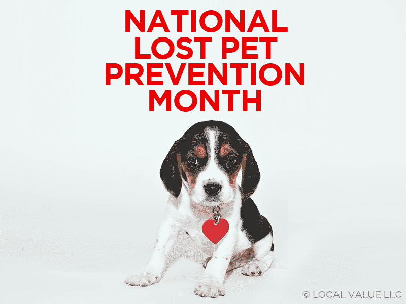 You are currently viewing National Lost Pet Prevention Month