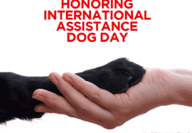 Honoring International Assistance Dog Day