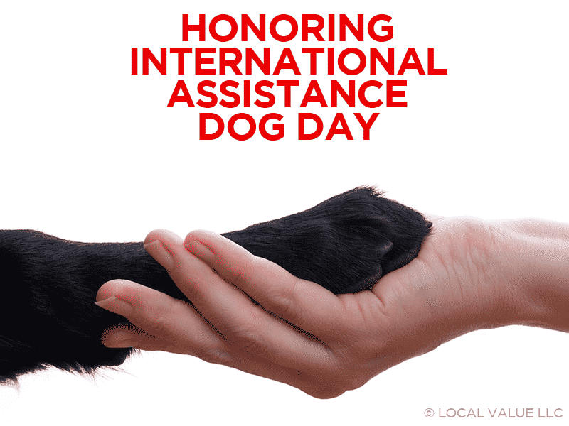 Read more about the article Honoring International Assistance Dog Day
