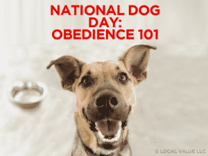 Read more about the article National Dog Day – Obedience 101