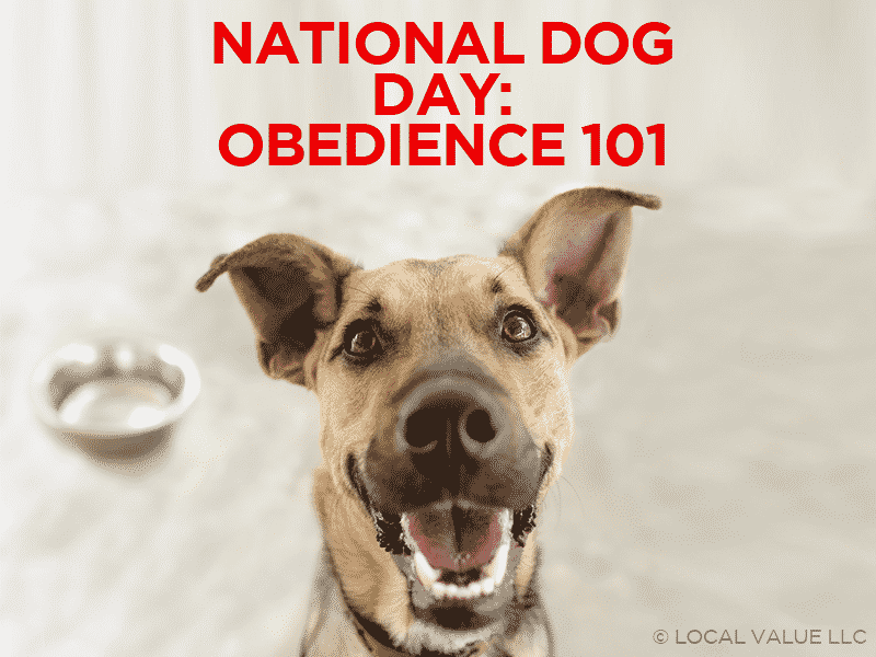 You are currently viewing National Dog Day – Obedience 101