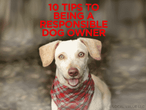 Read more about the article 10 Tips To Being A Responsible Pet Owner
