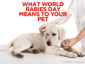 Read more about the article What World Rabies Day Means To Your Pet