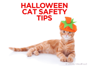 Read more about the article Halloween Cat Safety Tips