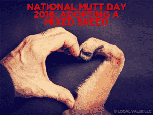 Read more about the article National Mutt Day 2016: Adopting A Mixed Breed
