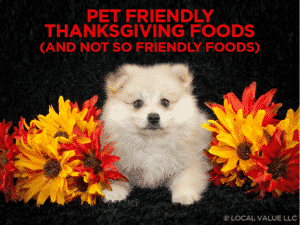 Read more about the article Pet Friendly Thanksgiving Foods