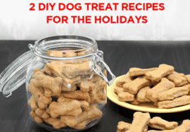 DIY Dog Treat Recipes For The Holidays