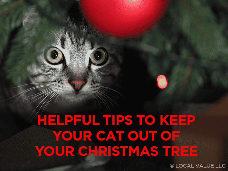 Helpful Tips to Keep Your Cat Out of Your Christmas Tree Local Value