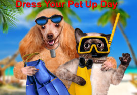 Dress To Impress: National Dress Your Pet day