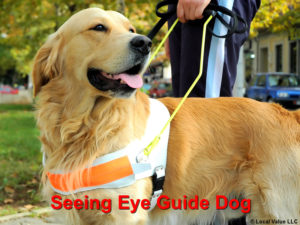 Read more about the article Seeing Eye Guide Dog Annaversary