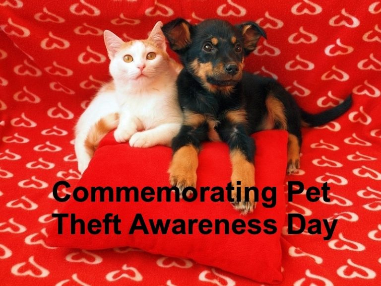 CommemoratingPetTheftAwarenessDay.jpg