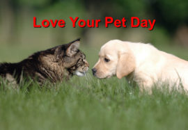 Love Your Pet Day
