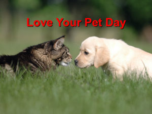 Read more about the article Love Your Pet Day