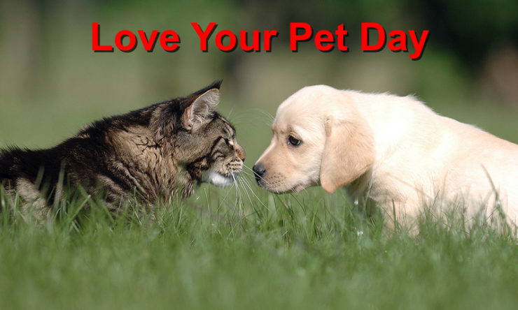 Love Your Pet Day