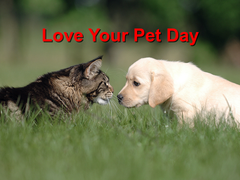 You are currently viewing Love Your Pet Day